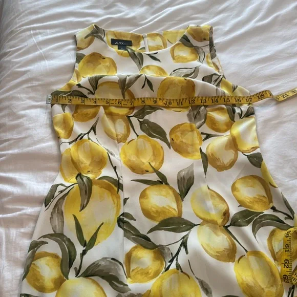 Alyx dress with lemons 🍋 - Picture 8 of 8